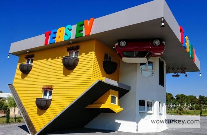 images - 2024-02-17T111959.032