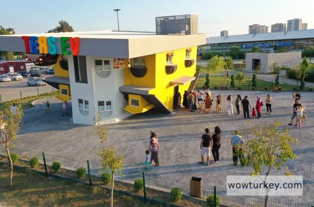 images - 2024-02-17T112017.358