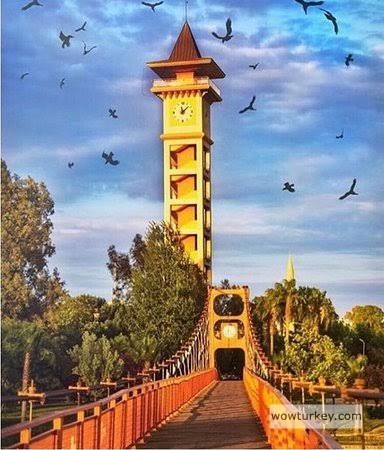 images - 2024-02-18T140547.268