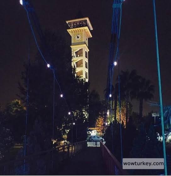 images - 2024-02-18T140557.782