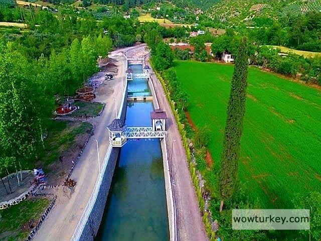 images - 2024-02-18T210109.524