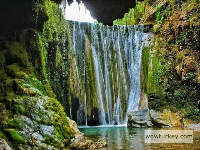 images - 2024-02-18T210209.058.jpeg