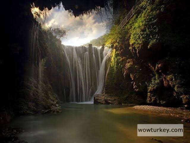 images - 2024-02-18T210214.747