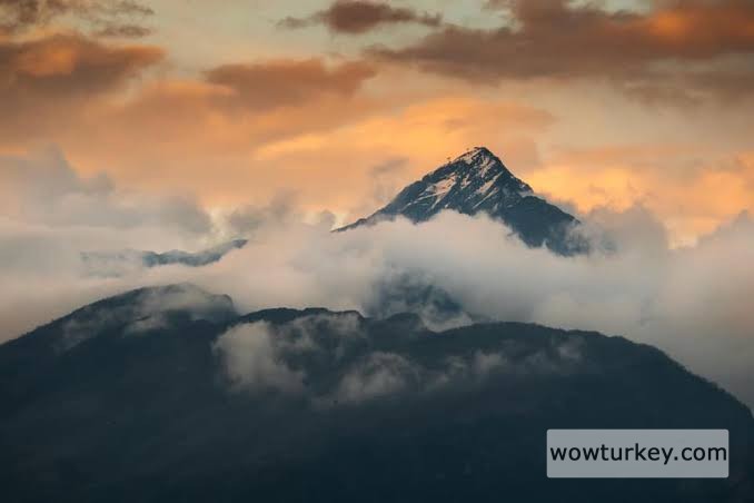 images - 2024-02-18T210551.222