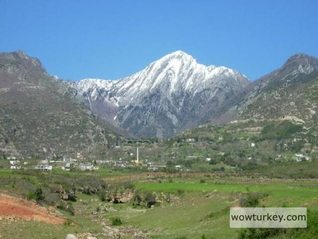 images - 2024-02-18T210637.257