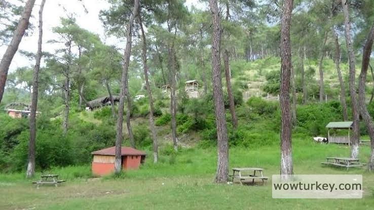 images - 2024-02-19T192446.441