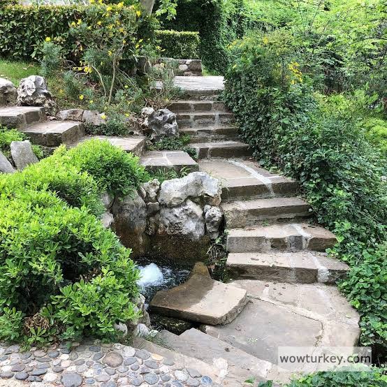 images - 2024-02-19T202109.361