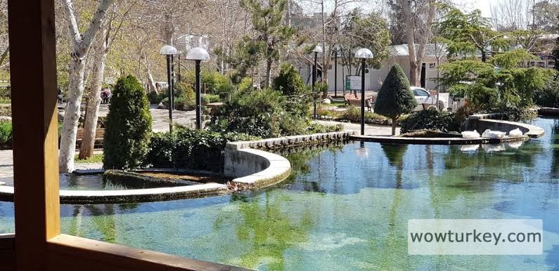 images - 2024-02-19T202127.354