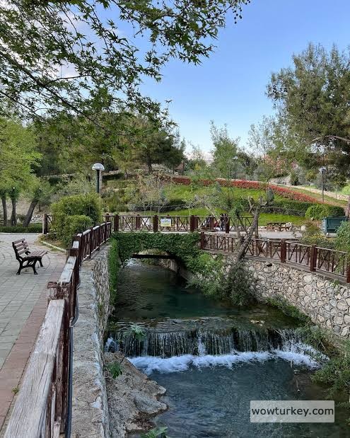 images - 2024-02-19T202141.456