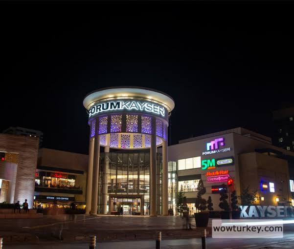 images - 2024-02-19T204155.494