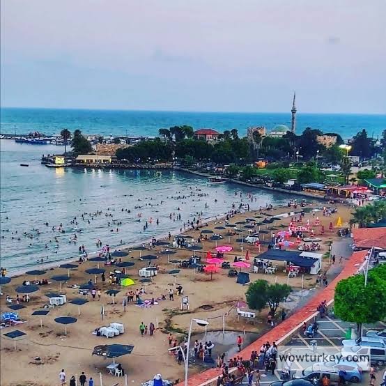 images - 2024-02-20T193704.328