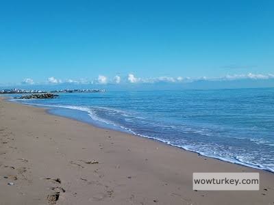 images - 2024-02-20T193857.516