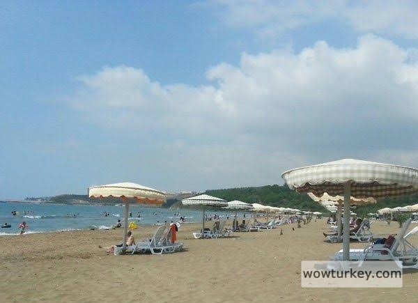 images - 2024-02-20T194201.574