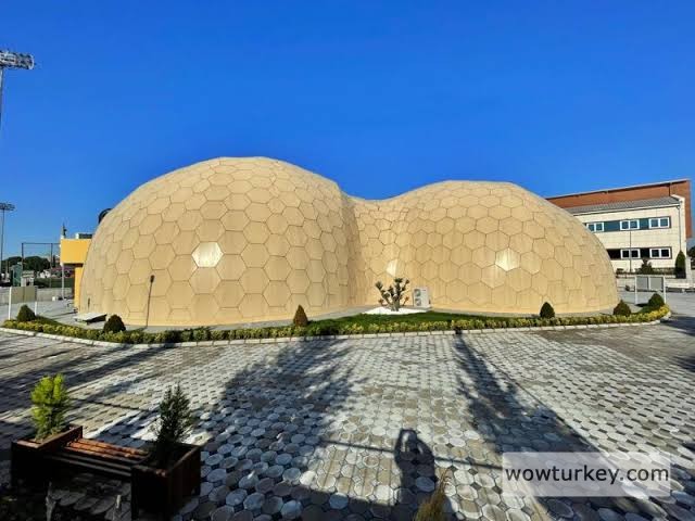 images - 2024-02-21T082702.386