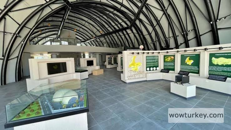 images - 2024-02-21T082741.701