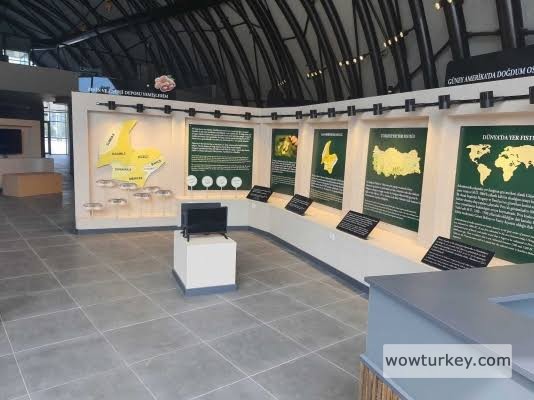 images - 2024-02-21T082754.203