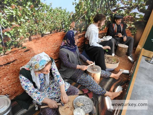 images - 2024-02-21T082827.505