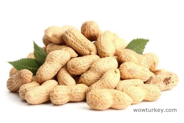 images - 2024-02-21T220027.080