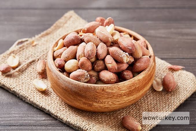 images - 2024-02-21T220042.130