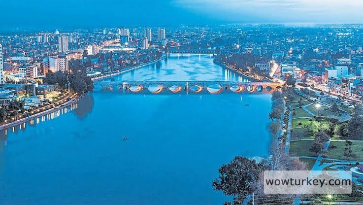 images - 2024-02-22T200759.027