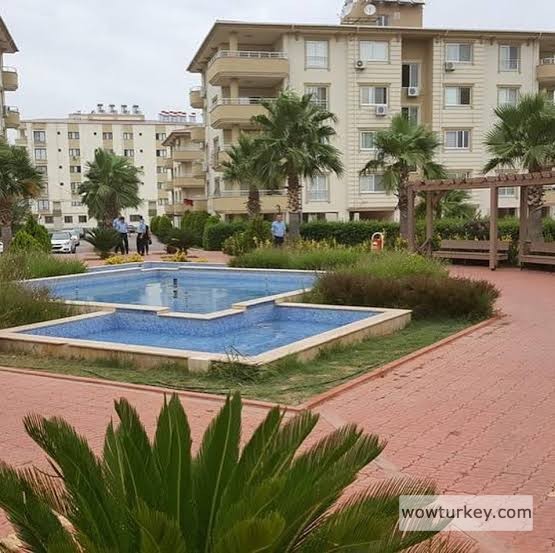 images - 2024-03-03T115602.546