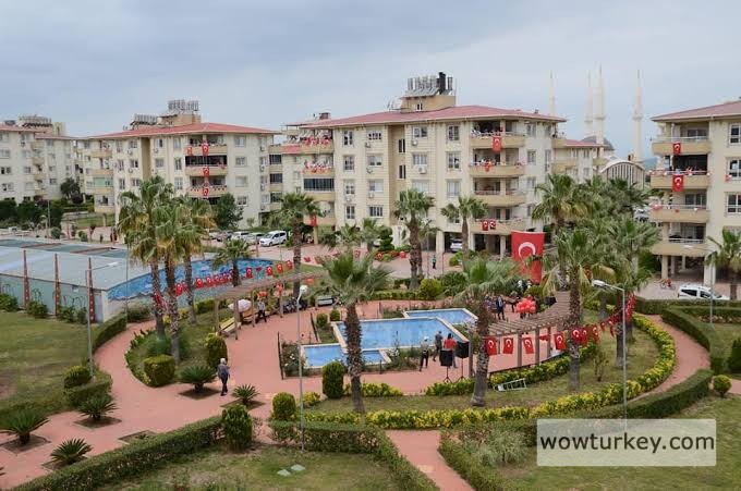 images - 2024-03-03T115611.947.jpeg