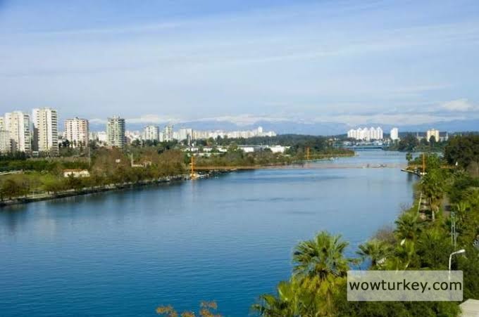 images - 2024-03-03T174109.047