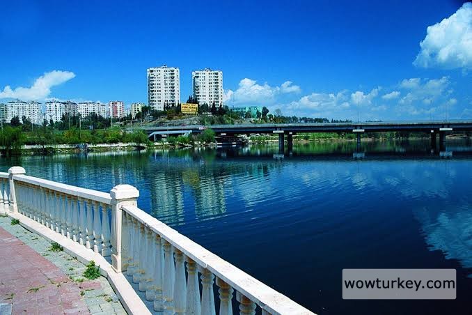 images - 2024-03-03T174120.962