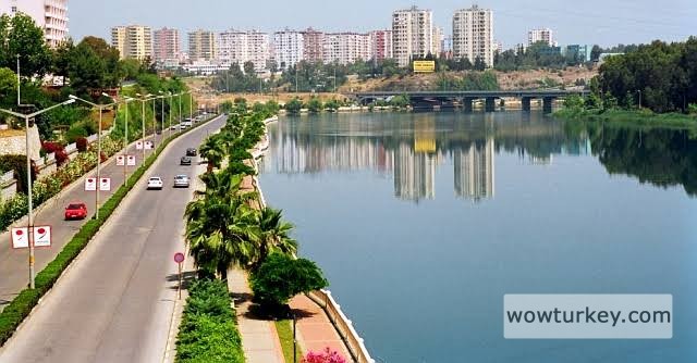 images - 2024-03-03T174127.594