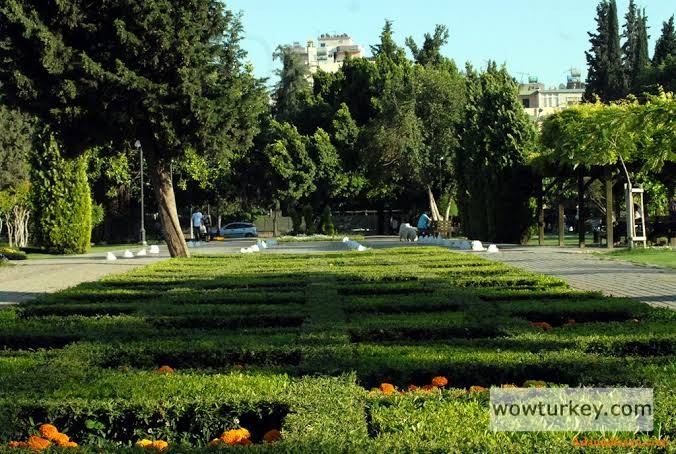 images - 2024-03-04T072130.426