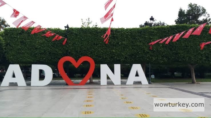 images - 2024-03-04T072210.198