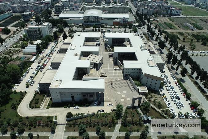 images - 2024-03-04T201730.225