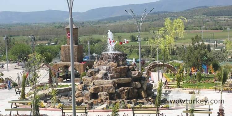 images - 2024-03-15T170439.337