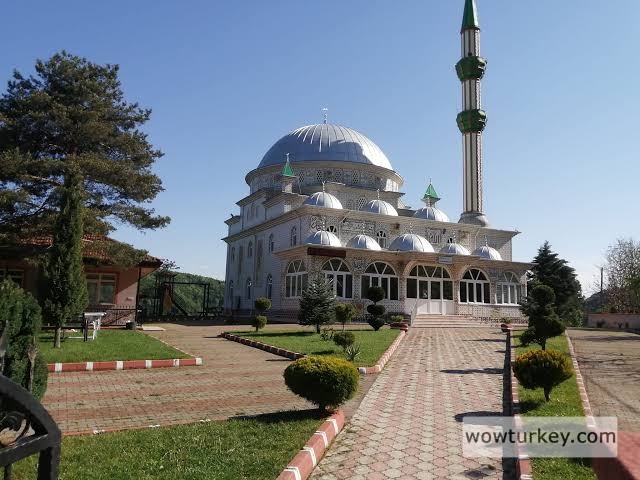 images - 2024-08-01T150858.975