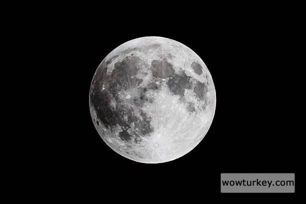 images - 2024-08-20T173336.154.jpeg