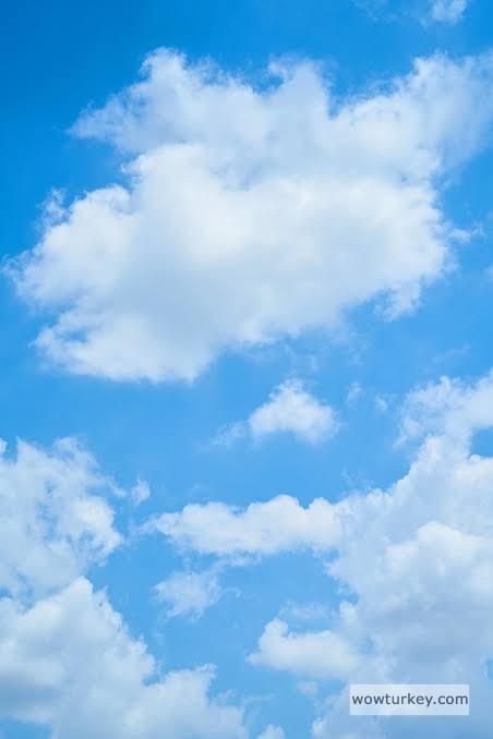 images - 2024-08-25T210445.892