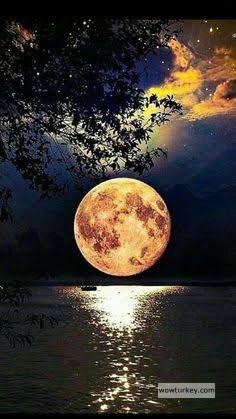 images - 2024-08-25T210615.850