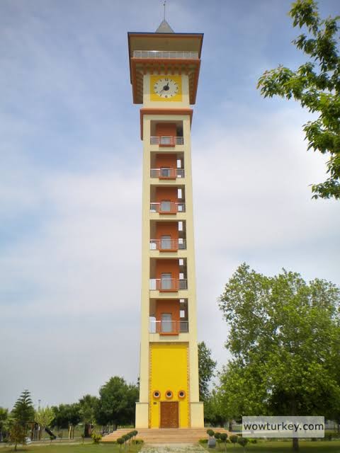 images - 2024-08-28T143815.006