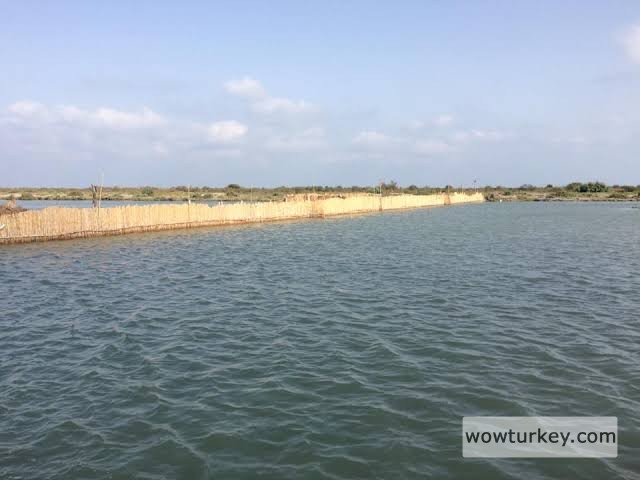 images - 2024-08-28T163021.021