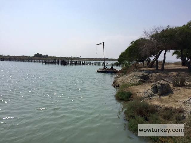 images - 2024-08-28T163029.879