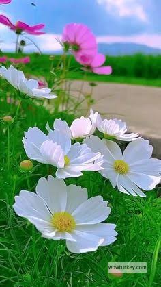 images - 2024-09-10T094517.576