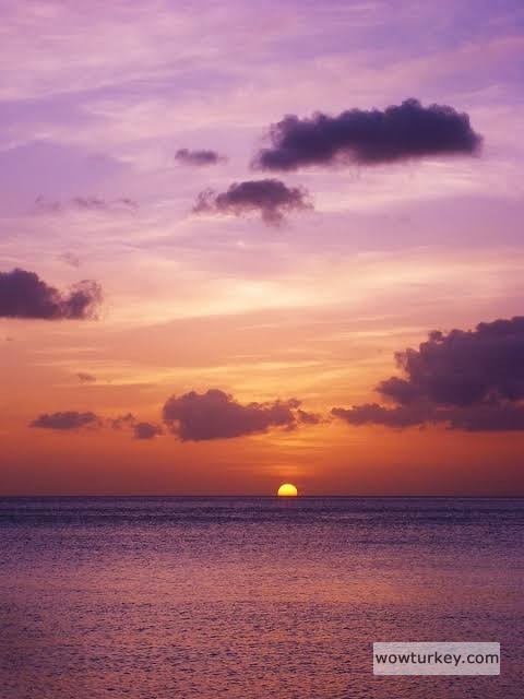 images - 2024-09-13T204040.499