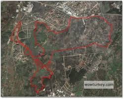 images - 2025-06-30T202124.532.jpeg