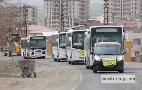 images (46) (3).jpeg