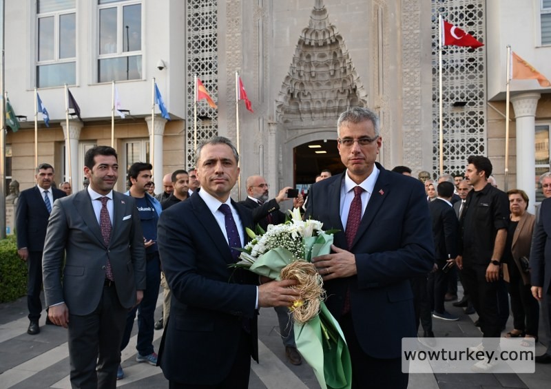 IMG-20240823-WA0058_800x565