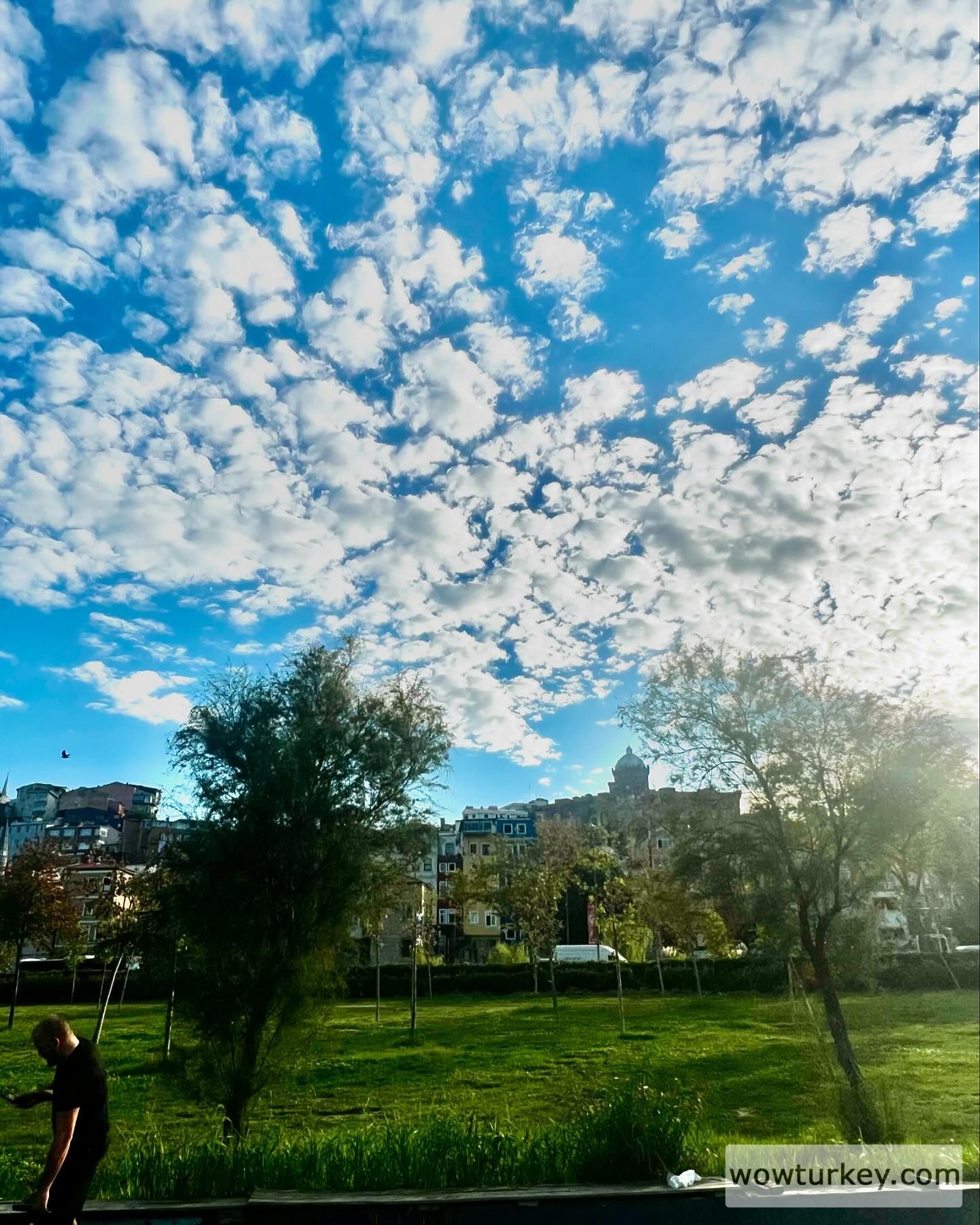 IMG18419095408075836_605309475304362451_n