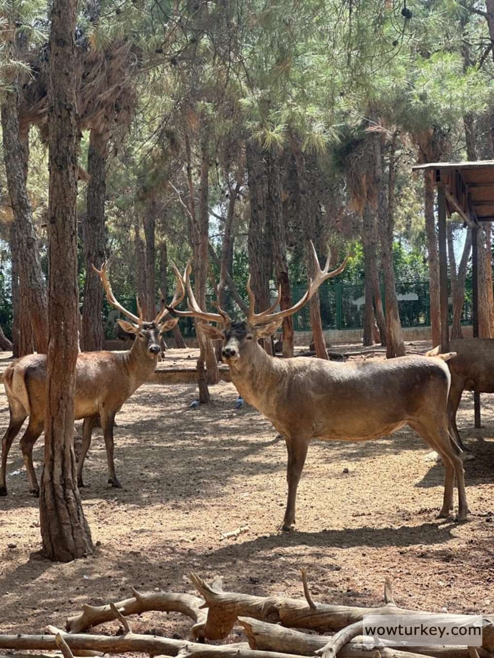 img_12_1706607026334