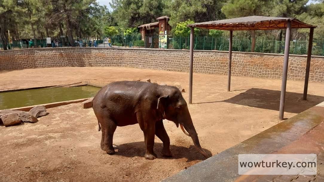 img_13_1706607067141