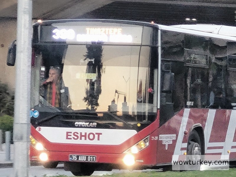 IMG_1513 (resized).jpg