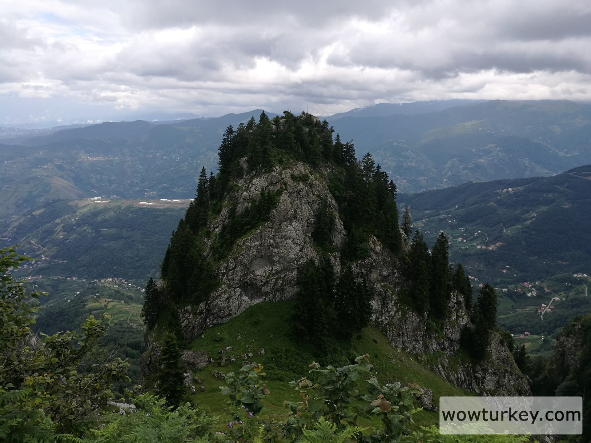 IMG_20180715_141802_1